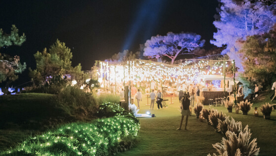 The plant-led pathway to the canopy of fairylights under which a wedding is celebrated at D Maris Bay.